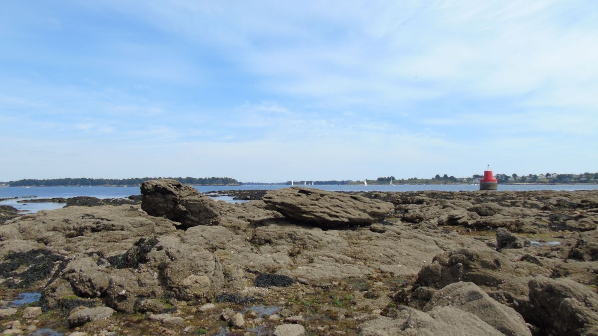 Pointe de Kerpenhir, menhirs couchés sur le platier rocheux. Photographie : Emilie Heddebaux / Paysages de mégalithes